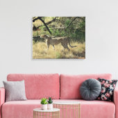 サンブル島のチーター キャンバスプリント (インサイチュ (リビング))
