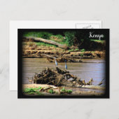 サンブル川 ポストカード (正面/裏面)