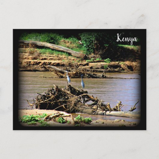 サンブル川 ポストカード (正面)