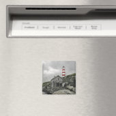 サンブロ軽磁石 マグネット (インサイチュ (食洗機))