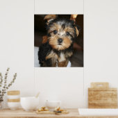 サンプソン ポスター (キッチン)