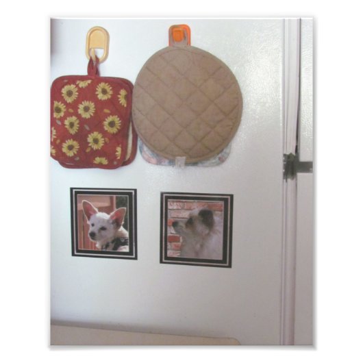 サンプル冷蔵庫用マグネット フォトプリント            (正面)