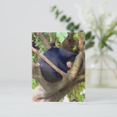 サンベア シーズンポストカード (スタンド正面)