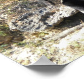 サンベア ポスター (角)