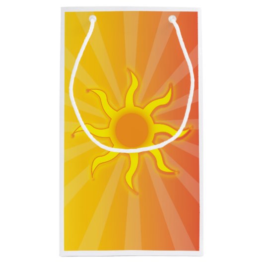 サンベクタートラベルホリデイ抱き枕 スモールペーパーバッグ (裏面)