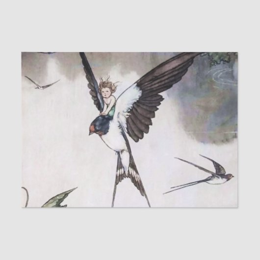 サンベリーナバイヒースロビンソン 薄葉紙 (正面)