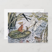 サンベリーナ葉書 ポストカード (正面/裏面)