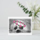 サンベリーナ。俺の名前は美しいマルタだ ポストカード (スタンド正面)