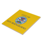 サンベルナルディーノ国旗(カリフォルニア州) タイル (側面)