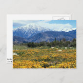 サンベルナルディーノ山脈,雪,花 ポストカード (正面/裏面)