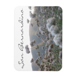 サンベルナルディーノ マグネット