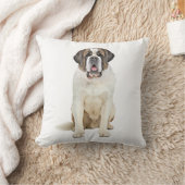 サンベルナルドウォーターカラーアート絵を描ズ クッション (ブランケット)