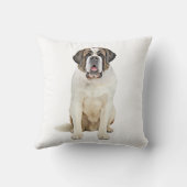 サンベルナルドウォーターカラーアート絵を描ズ クッション (裏面)