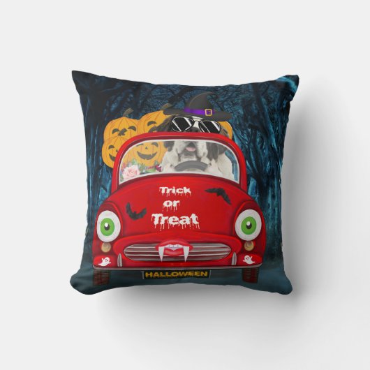 サンベルナルドッグドライビングカーホラーハロウィーン クッション (正面)