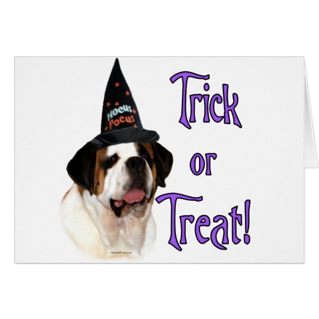 サンベルナルドトリック (正面横)