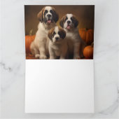 サンベルナルドパピーオータムデライトパンプキン カード (内部)