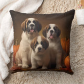 サンベルナルドパピーオータムデライトパンプキン クッション (ブランケット)