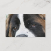 サンベルナール峠の子犬の名刺 名刺 (裏面)