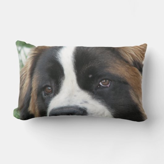 サンベルナール峠の子犬の枕 ランバークッション (正面)