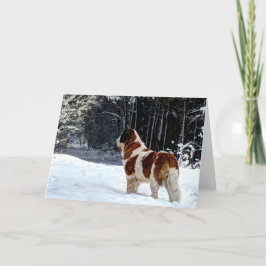 サンベルナール峠の雪の写真クリスマスの挨拶 シーズンカード