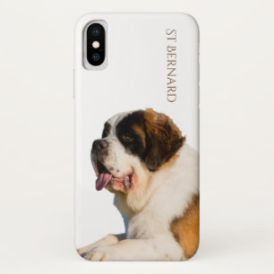 サンベルナール峠のiPhone Xの場合 iPhone X ケース