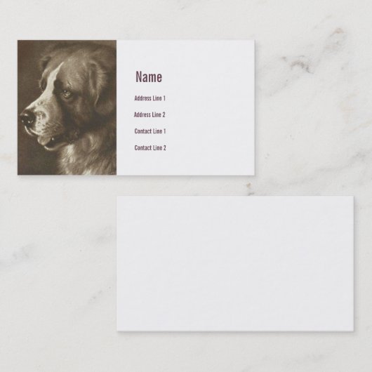 サンベルナール峠犬のイラストレーションの名刺 名刺 (正面/裏面)