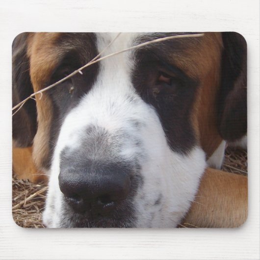 サンベルナール峠犬のマウスパッド マウスパッド (正面)