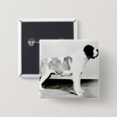 サンベルナール峠犬 缶バッジ (正面&裏面)