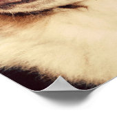 サンベルナール ポスター (角)