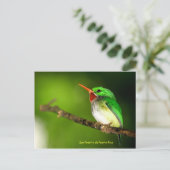 サンペドリトデプエルトリコポストカード ポストカード (スタンド正面)