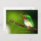 サンペドリトデプエルトリコポストカード ポストカード (正面/裏面)