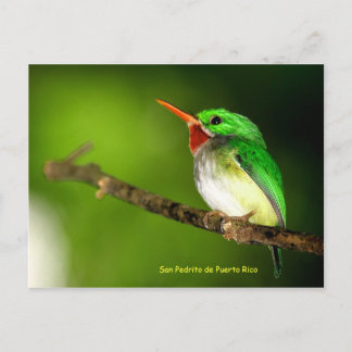 サンペドリトデプエルトリコポストカード ポストカード