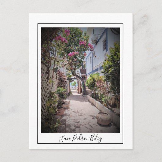 サンペドロアンベルグリカイベリーズポストカード ポストカード (正面)