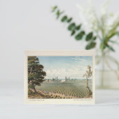 サンホアキン郡エルピナルヴィンヤード ポストカード (スタンド正面)