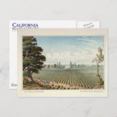 サンホアキン郡エルピナルヴィンヤード ポストカード (正面/裏面)