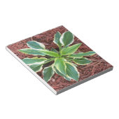 サンホスタ ノートパッド (アングル)