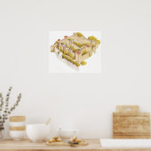 サンホルヘ城。リスボアポルトガル ポスター (キッチン)