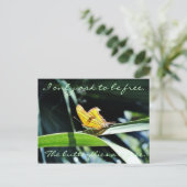 サンポストカードに黄色い蝶 ポストカード (スタンド正面)