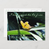 サンポストカードに黄色い蝶 ポストカード (正面/裏面)