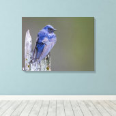 サンマミッシュ湖の上の男性の紫のマーティンネスト キャンバスプリント (インサイチュ (ウッドフロア))