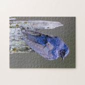 サンマミッシュ湖の上の男性の紫のマーティンネスト ジグソーパズル (横)