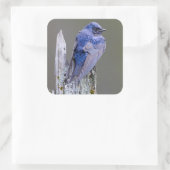 サンマミッシュ湖の上の男性の紫のマーティンネスト スクエアシール (バッグ)