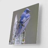 サンマミッシュ湖の上の男性の紫のマーティンネスト スクエア壁時計 (傾斜)