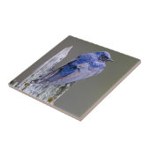 サンマミッシュ湖の上の男性の紫のマーティンネスト タイル (側面)