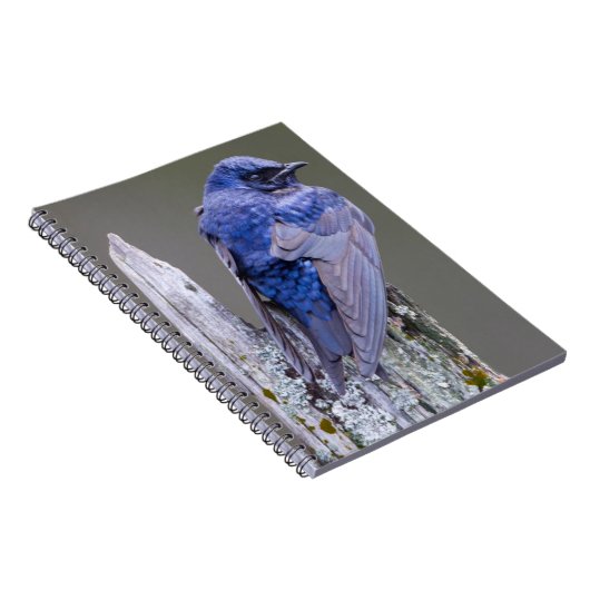 サンマミッシュ湖の上の男性の紫のマーティンネスト ノートブック (右側)