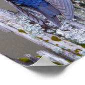 サンマミッシュ湖の上の男性の紫のマーティンネスト ポスター (角)