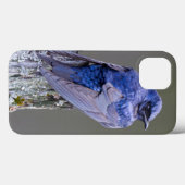 サンマミッシュ湖の上の男性の紫のマーティンネスト Case-Mate iPhoneケース (裏面 (横))