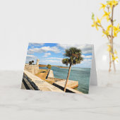 サンマルコスの城，聖アウグスティーヌ，フロリダ州  カード (黄色い花)