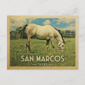 サンマルコステキサス州ホースファーム – ヴィンテージトラベル ポストカード (正面)