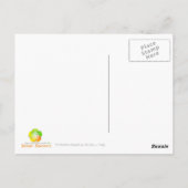 サンマルコ大聖堂 ポストカード (裏面)